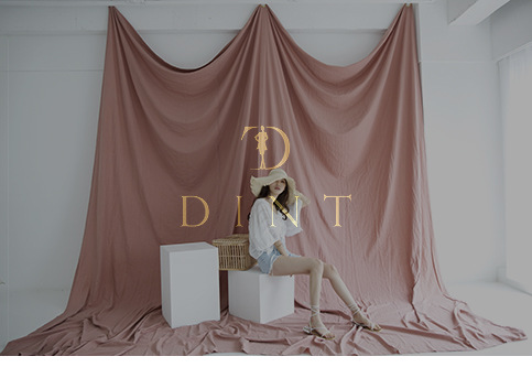 [VIDEO] 2019 s/s DINT