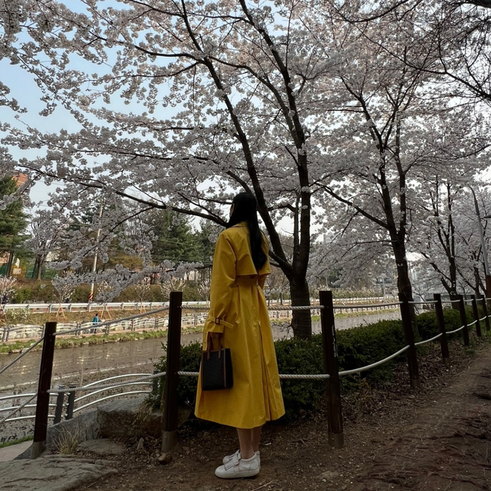 [KOREA REVIEW] Figure-enhancing dress