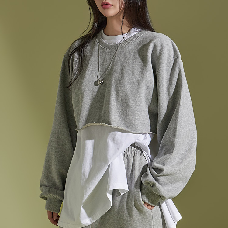 E3321 Crop Sweatshirt Korea