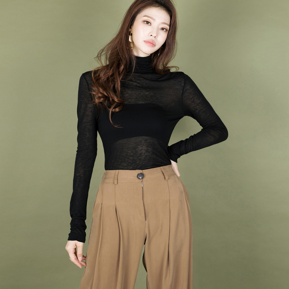 E2514 Sheer Turtleneck Top Korea